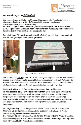 Anwendungshilfe GONASI